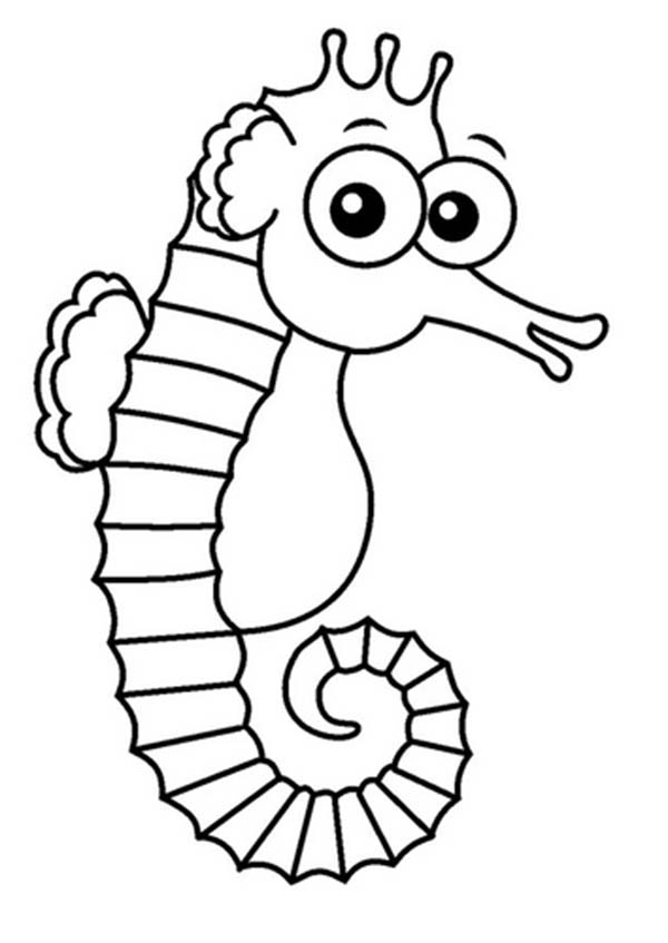 Free Seahorse Clipart | Free Download Clip Art | Free Clip Art ...