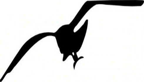 Seagull Contour Clip Art | Free Vector Download - Graphics,