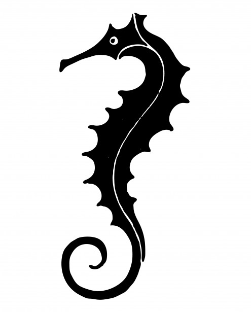 Seahorse clipart black and white clipart - Clipartix