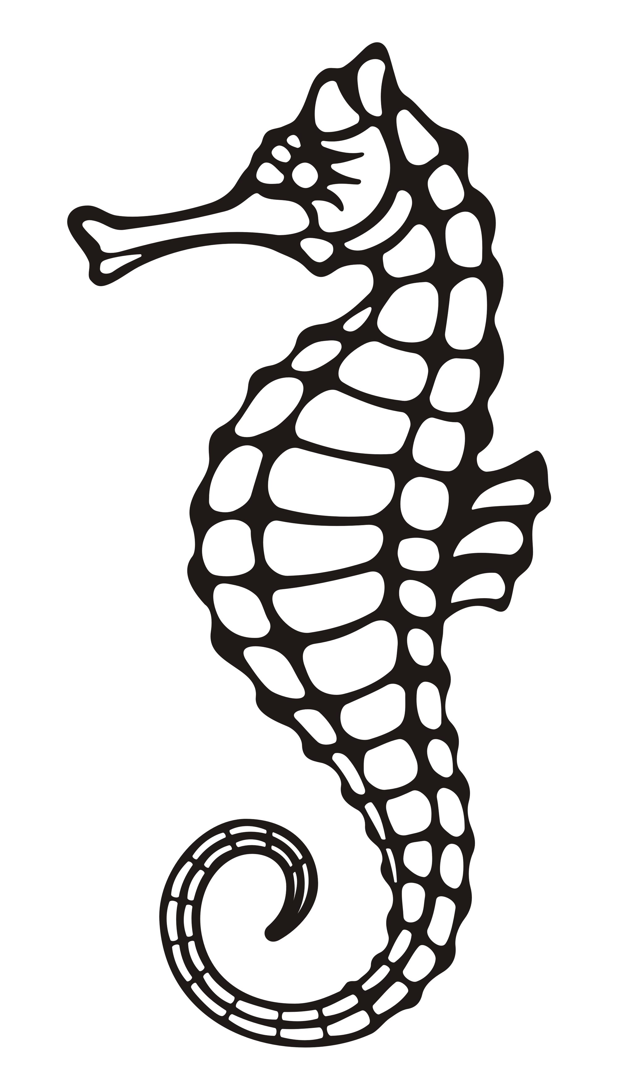 Sea Horse Outline | Free Download Clip Art | Free Clip Art | on ...