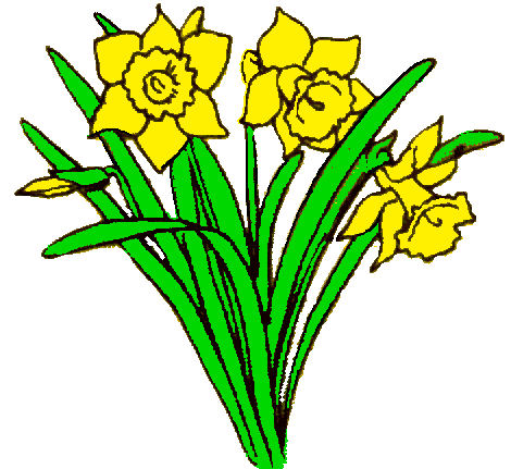 Daffodil Clipart