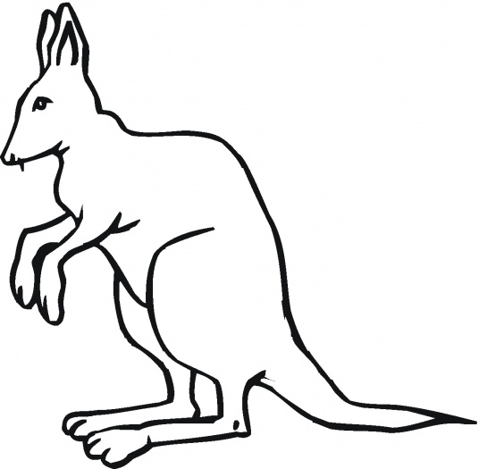 Kangaroo 16 coloring page | Super Coloring