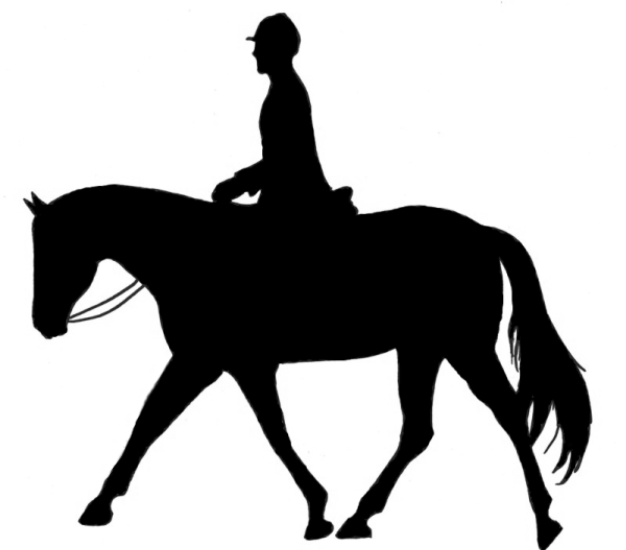 Western Horse Riding Clipart - Free Clipart Images