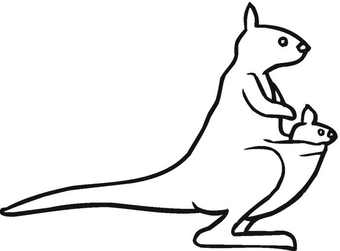 Kangaroo Outline