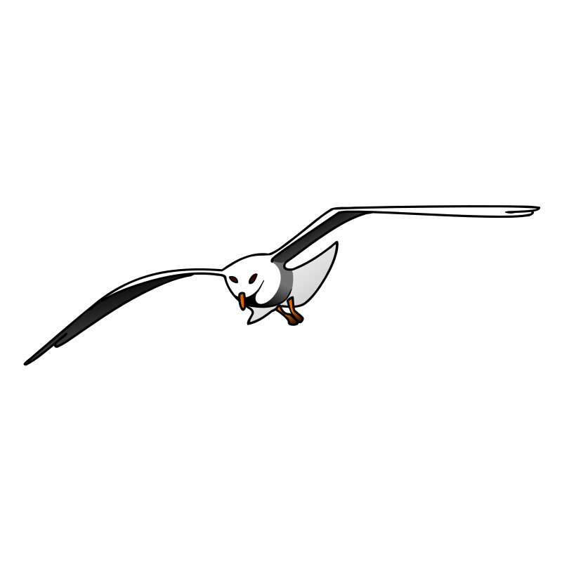 Clipart - Seagull