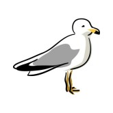 Seagull Clip Art - ClipArt Best