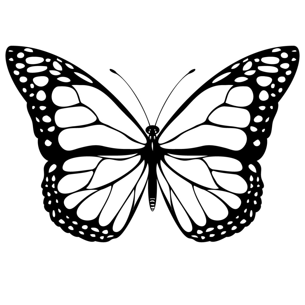 Butterfly Images In Black And White - ClipArt Best