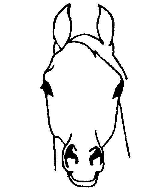 Horse Head Icon