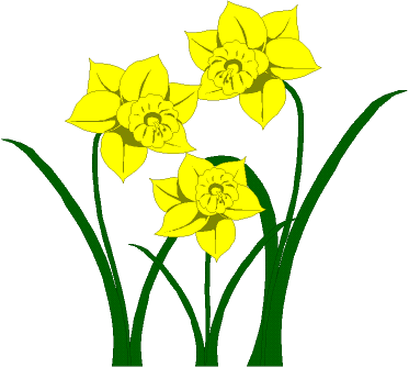 Daffodils clipart