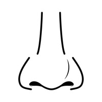 Nose Clip Art - Tumundografico