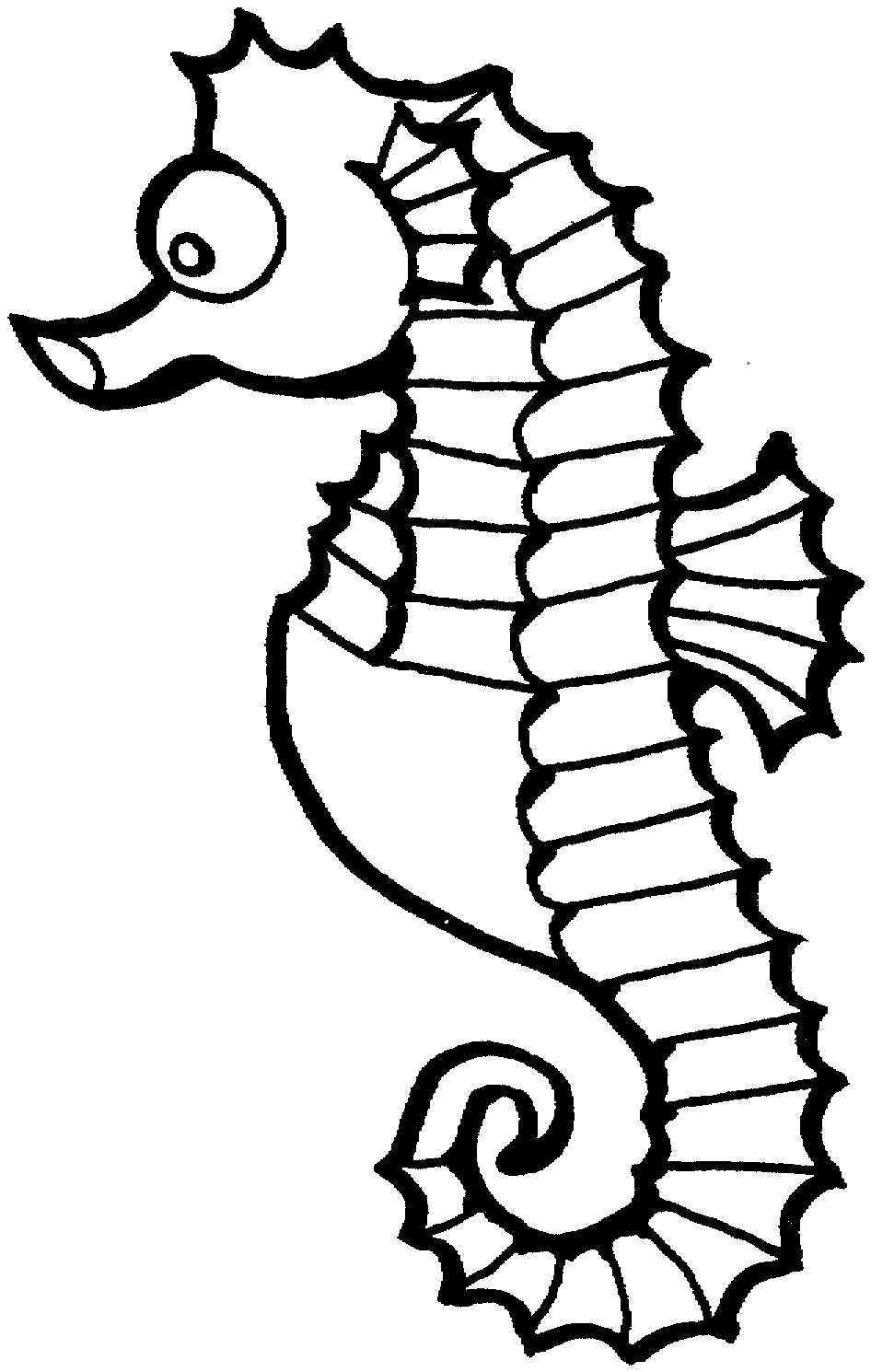 Seahorse Drawings