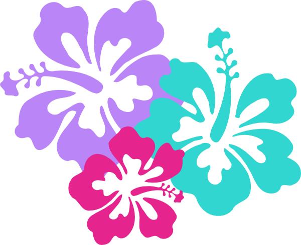 Hawaiian Flower Clipart 15644 Hd Wallpapers Background in Flowers ...