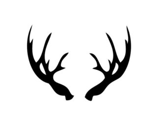 Deer antler clip art free