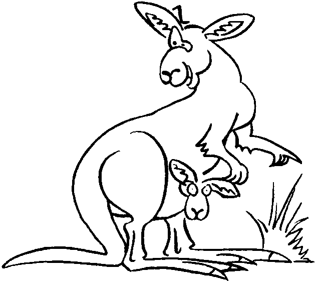 Kangaroo outline picture for print and paint, raskraska