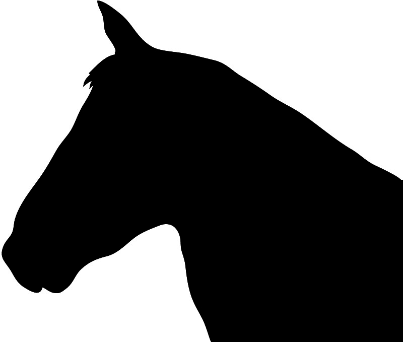 Horse Silhouette