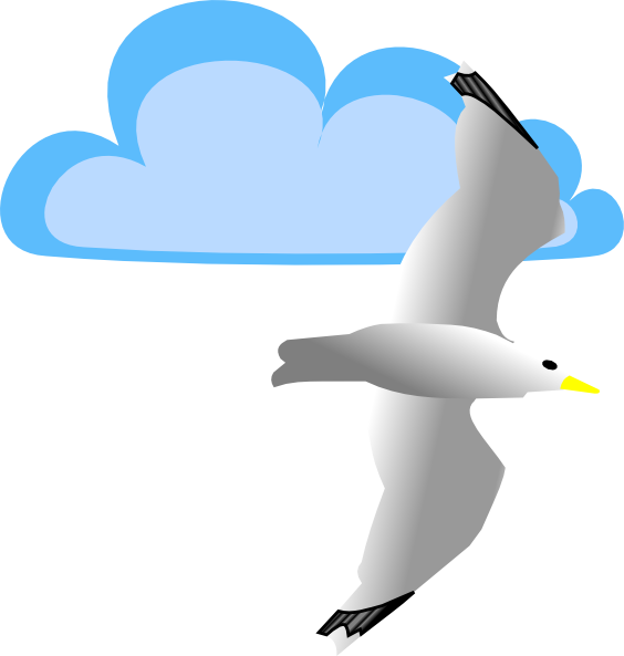 Seagull Outline | Free Download Clip Art | Free Clip Art | on ...