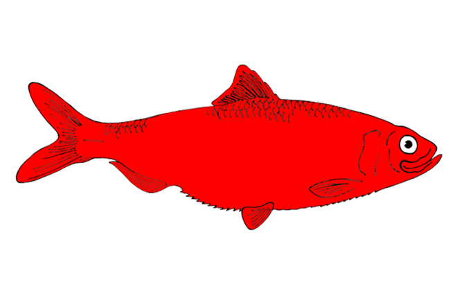 Redfish Clipart | Free Download Clip Art | Free Clip Art | on ...