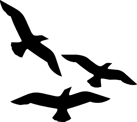 Flying Seagull Clip Art Submited Images Picfly