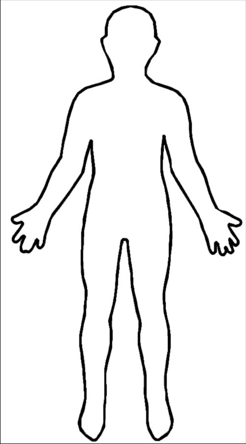 Outline-body.png