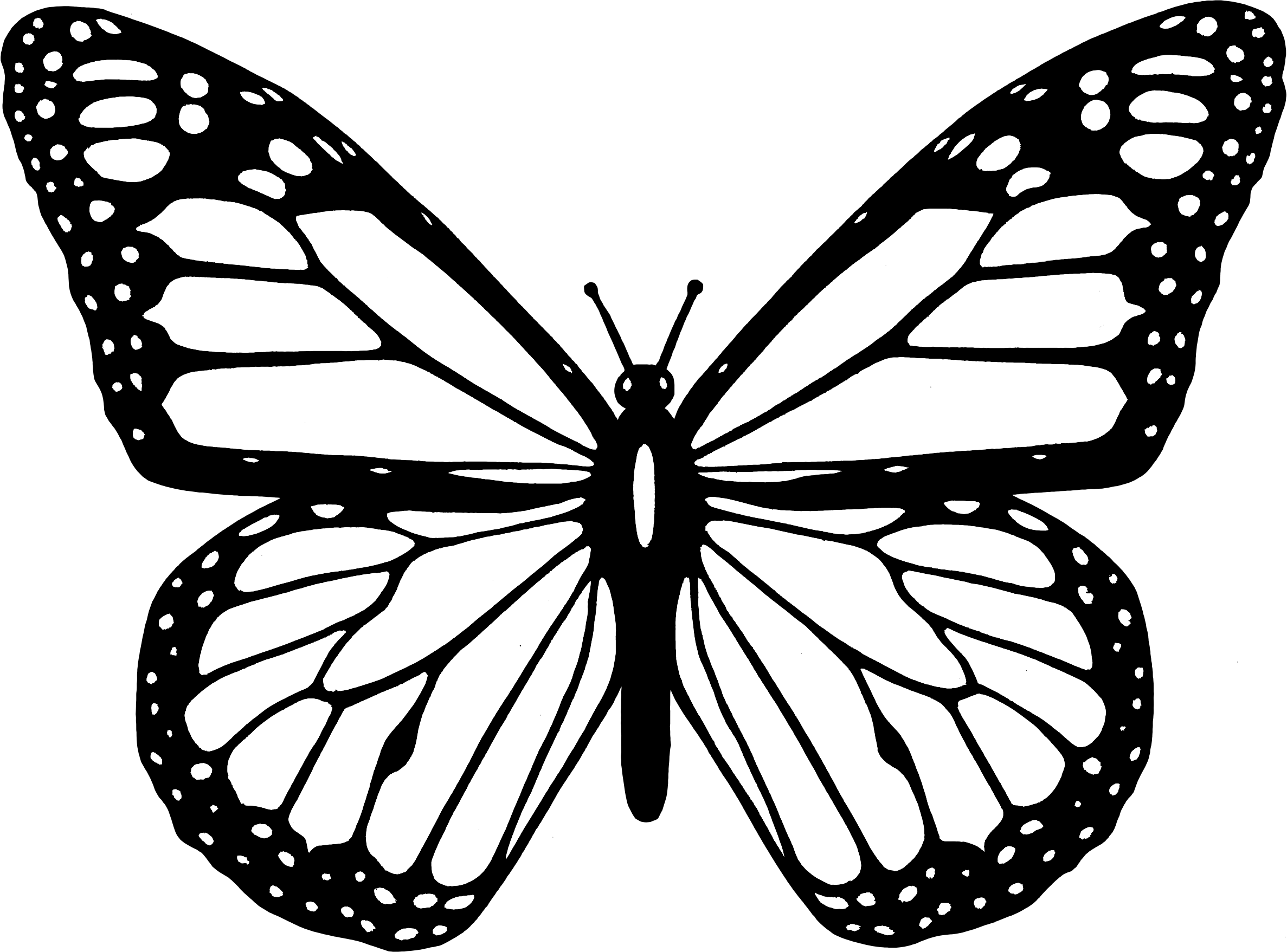 Black and white clipart butterfly