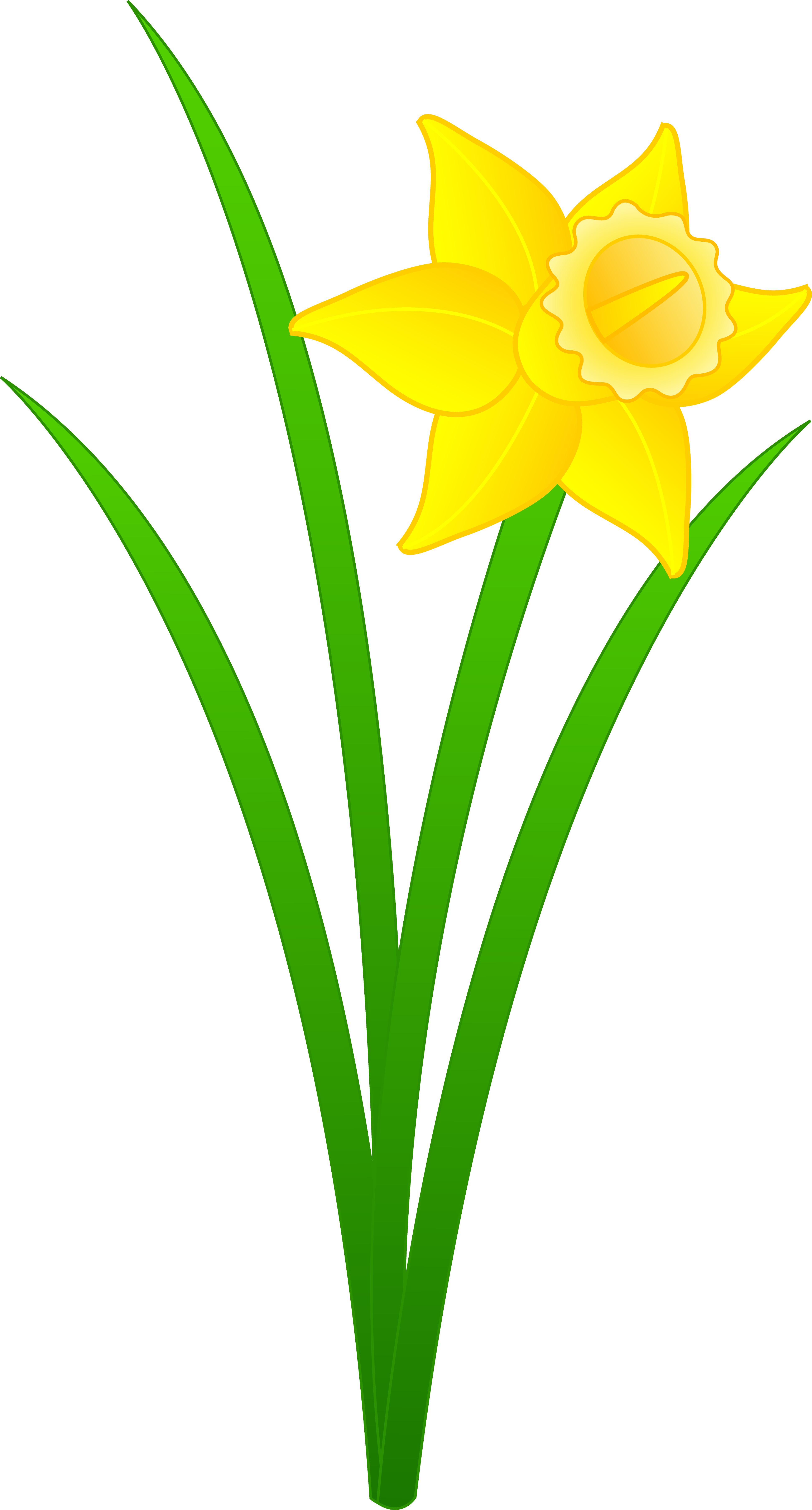 Daffodil Clip Art - Tumundografico