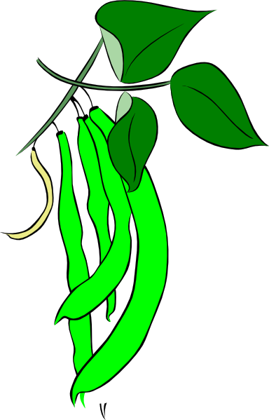 Green Bean Cartoon - ClipArt Best