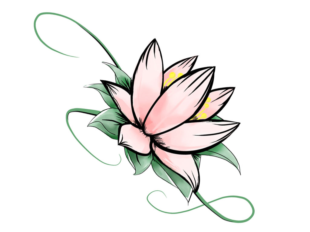 Wallpapers Flower Draw Lotus Tattoo Designs Best Pictures Photos ...