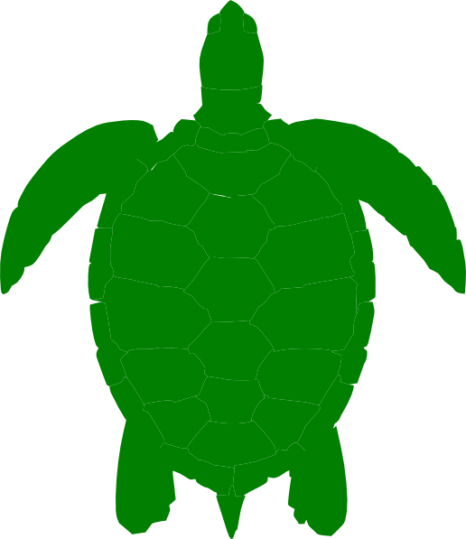 Green Sea Turtle clip art - vector clip art online, royalty free ...