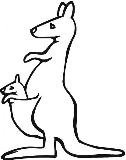 Kangaroo Outline Clipart