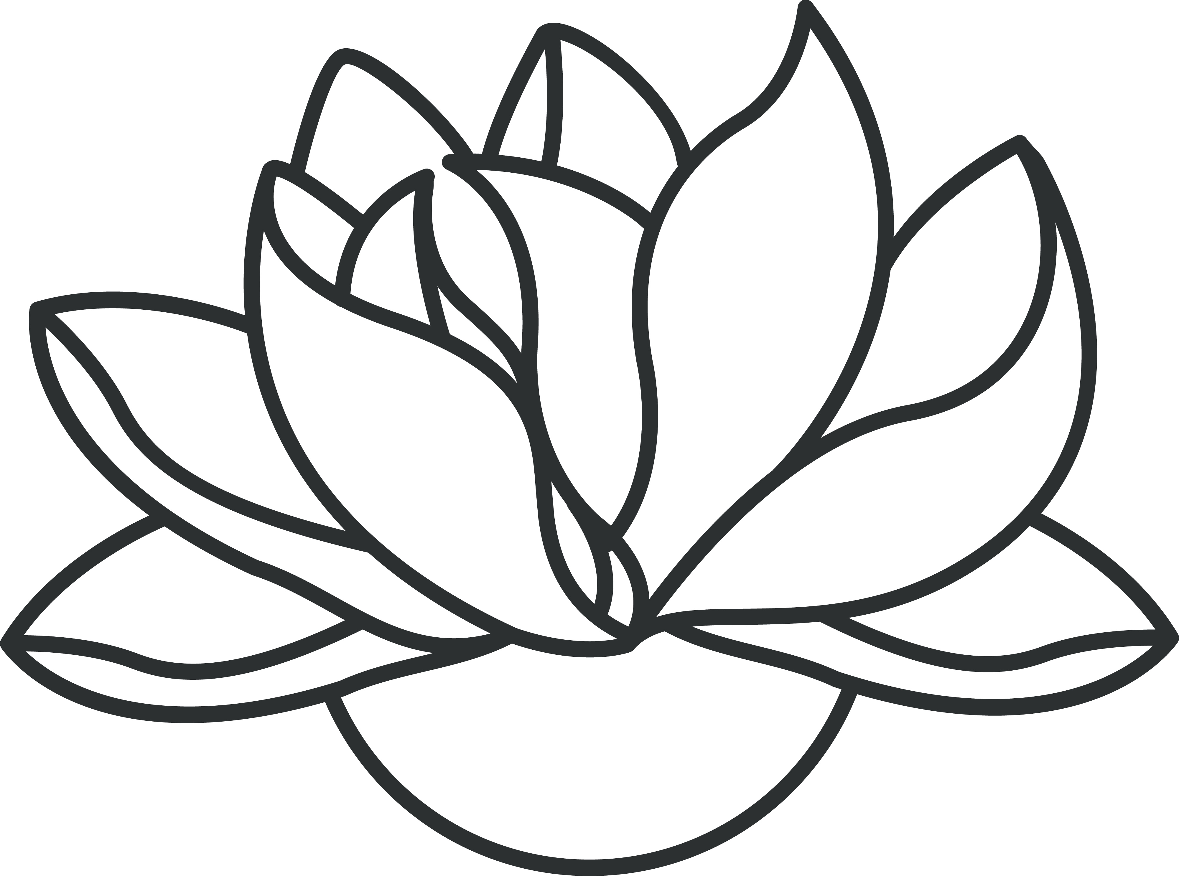 Lotus Flower Line Drawing - ClipArt Best