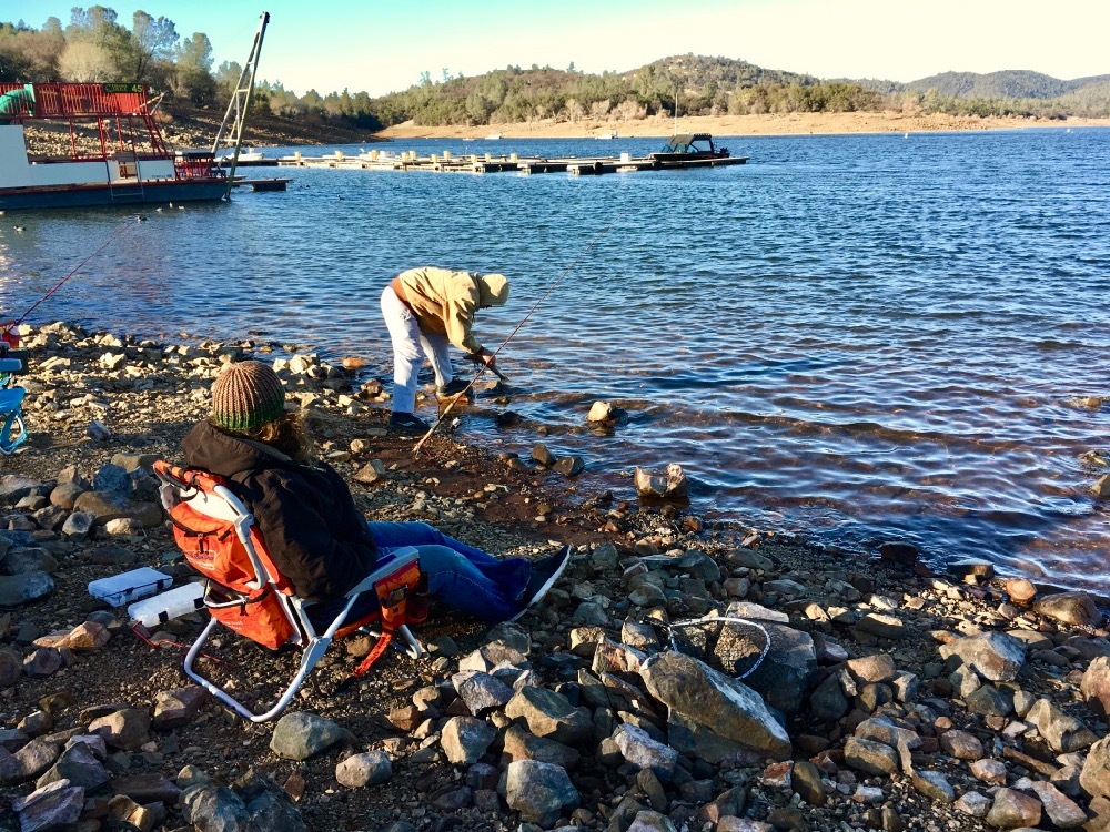 Collins Lake Winter Fishing to Finish 2018