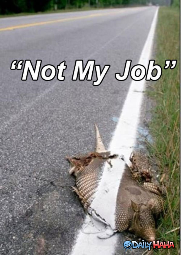 Not My Job funny picture