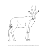 How to Draw a Blesbok