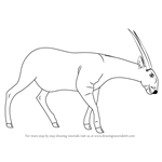 How to Draw a Saola