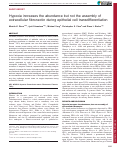 Cover page: Hypoxia increases the abundance but not the assembly of extracellular fibronectin during epithelial cell transdifferentiation