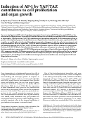 Cover page: Induction of AP-1 by YAP/TAZ contributes to cell proliferation and organ growth
