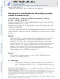 Cover page: Pathophysiology and inhibition of IL-23 signaling in psoriatic arthritis: A molecular insight