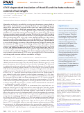 Cover page: CTCF-dependent insulation of Hoxb13 and the heterochronic control of tail length.