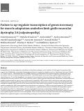 Cover page: Failure to up-regulate transcription of genes necessary for muscle adaptation underlies limb girdle muscular dystrophy 2A (calpainopathy)