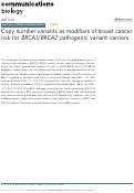 Cover page: Copy number variants as modifiers of breast cancer risk for BRCA1/BRCA2 pathogenic variant carriers