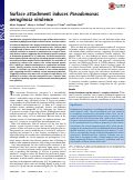 Cover page: Surface attachment induces Pseudomonas aeruginosa virulence