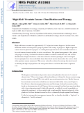 Cover page: High-risk prostate cancer—classification and therapy