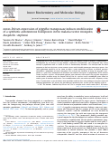 Cover page: nanos-Driven expression of piggyBac transposase induces mobilization of a synthetic autonomous transposon in the malaria vector mosquito, Anopheles stephensi