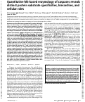 Cover page: Quantitative MS-based enzymology of caspases reveals distinct protein substrate specificities, hierarchies, and cellular roles