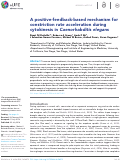 Cover page: A positive-feedback-based mechanism for constriction rate acceleration during cytokinesis in Caenorhabditis elegans