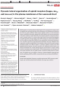 Cover page: Dynamic lateral organization of opioid receptors (kappa, muwt and muN40D ) in the plasma membrane at the nanoscale level.
