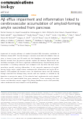 Cover page: Aβ efflux impairment and inflammation linked to cerebrovascular accumulation of amyloid-forming amylin secreted from pancreas