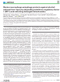 Cover page: Murine macrophage autophagy protects against alcohol-induced liver injury by degrading interferon regulatory factor 1 (IRF1) and removing damaged mitochondria