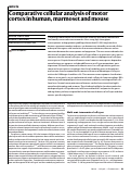Cover page: Comparative cellular analysis of motor cortex in human, marmoset and mouse