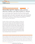 Cover page: Amerindian-specific regions under positive selection harbour new lipid variants in Latinos